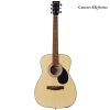 Berkeley Guitars Semi Acoustic Guitar Concert EQ Open Pore