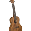 Diamond Head DU-350C Flamed Acacia Concert Uke Ukulele Outfit