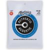 Martin MA190 Authentic Acoustic SP 80/20 Bronze Light (12 String) Guitar Strings