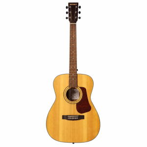 Berkeley Concert Pro Solid Spruce Top Acoustic Guitar